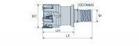 ZZ_A490-M.jpg